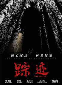 国产视频一区二区在线观看